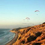 Torrey Pines State Reserve