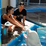 SeaWorld San Diego