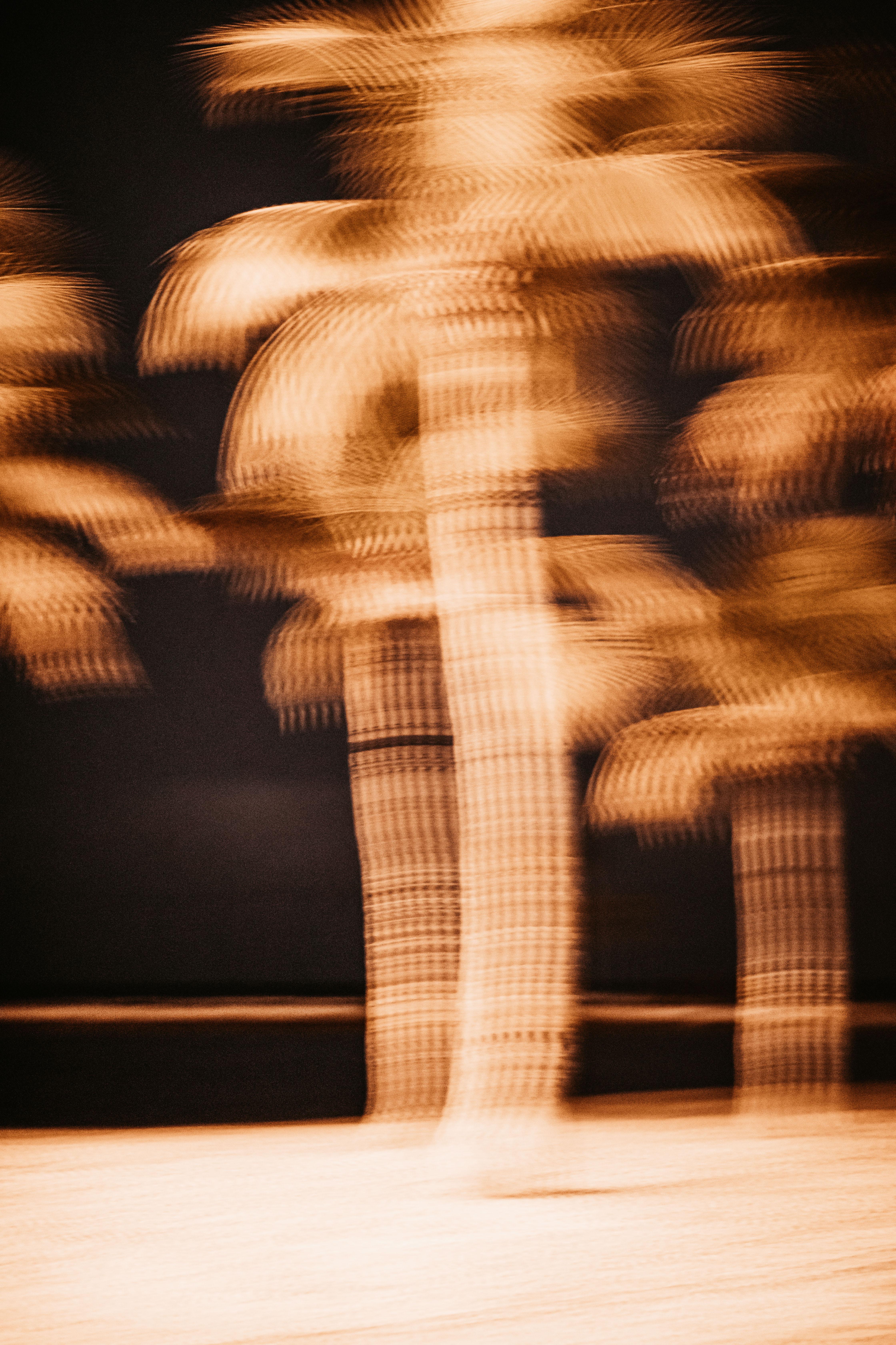 The Wedding Website of Jordan Guelich and Andy Penev