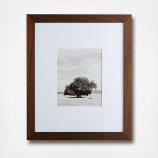 Locke Wide Profile Frame