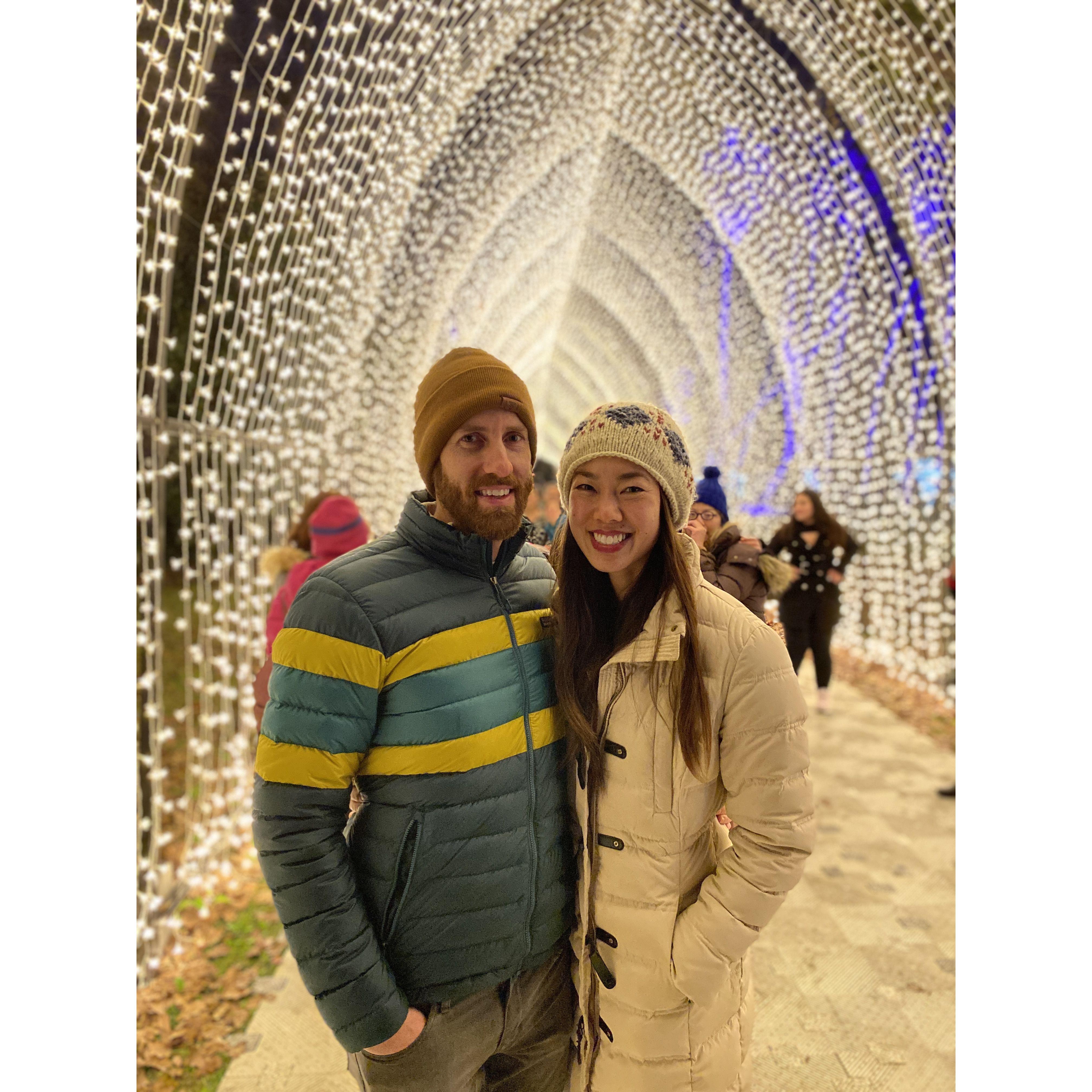 Holiday lights for Christmas