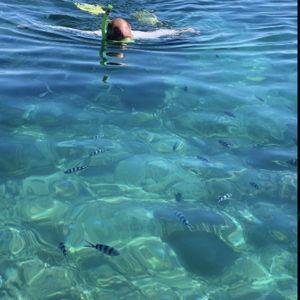 Fijian Island and Snorkel tour