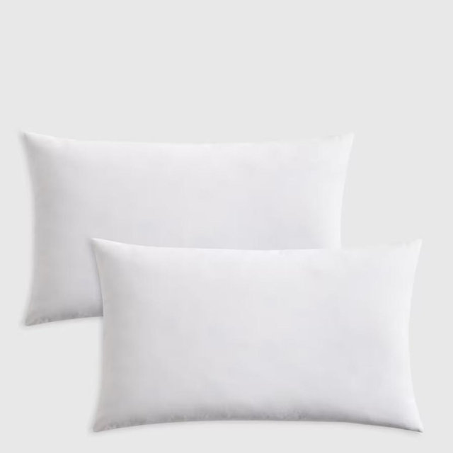 Premium Feather Pillow Insert (Set of 2) - 12x20