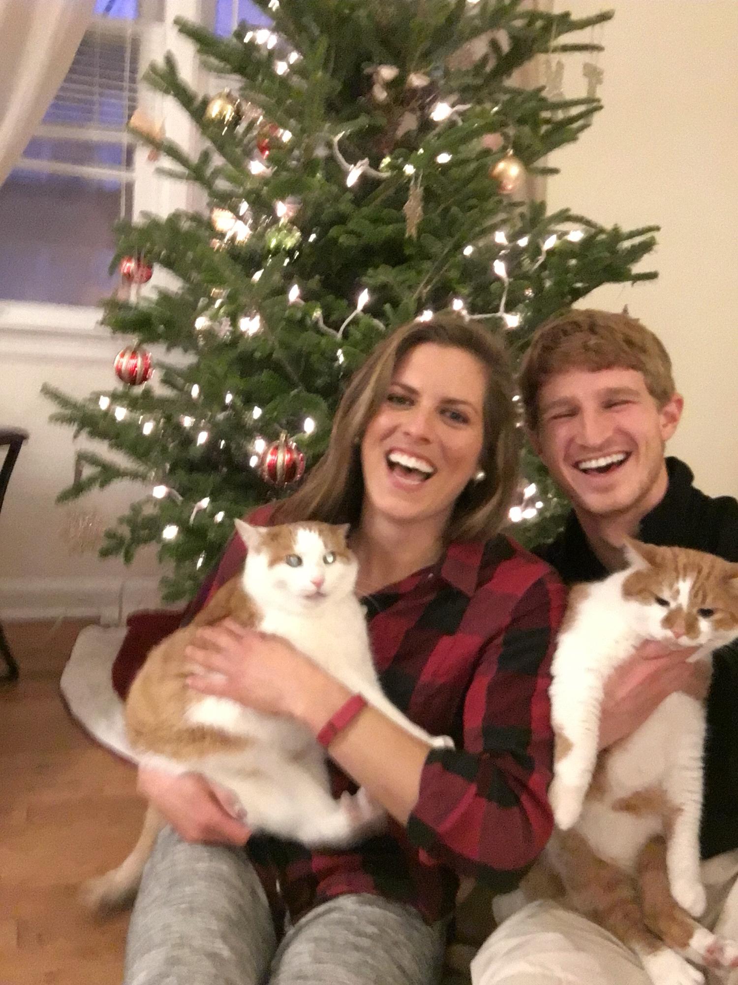 Attempting to take a Christmas photo with the cats, Thomas and Finn, in 2015.