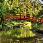 Sarah P. Duke Gardens