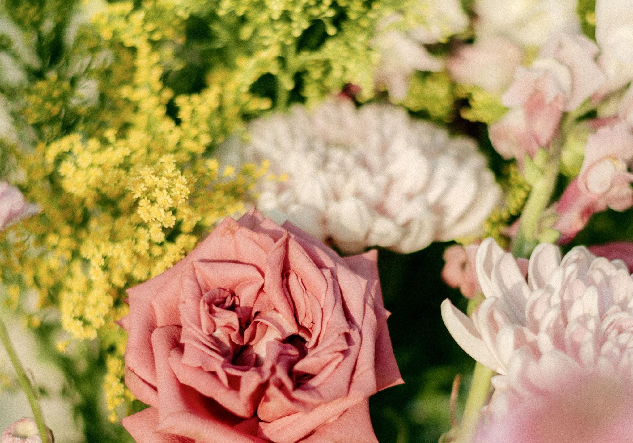 The Wedding Website of Michaela Atkinson and Patricio Garcia