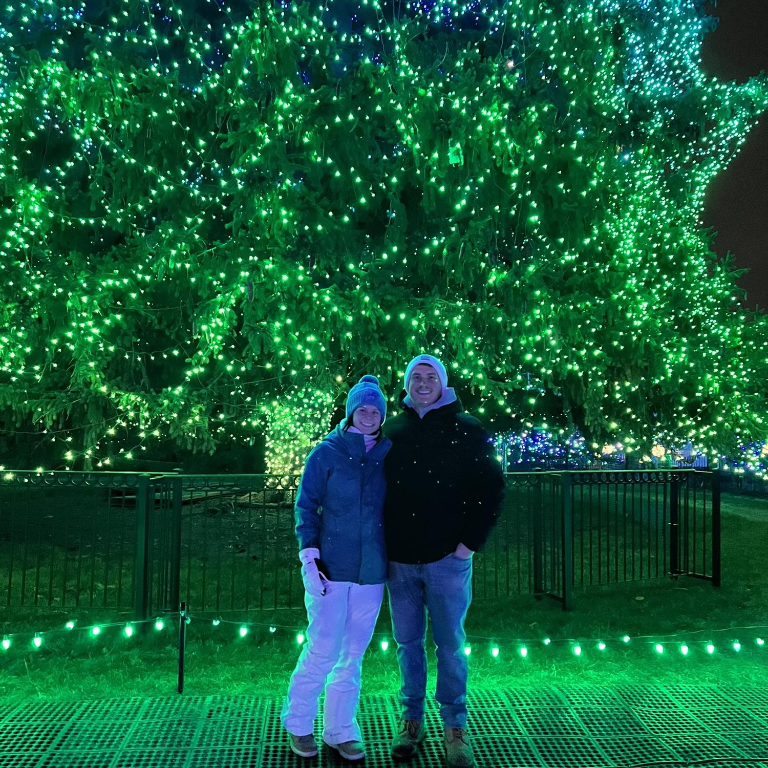 Lights before Christmas @ Toledo Zoo🫶🏼