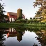 Hopkins Vineyard