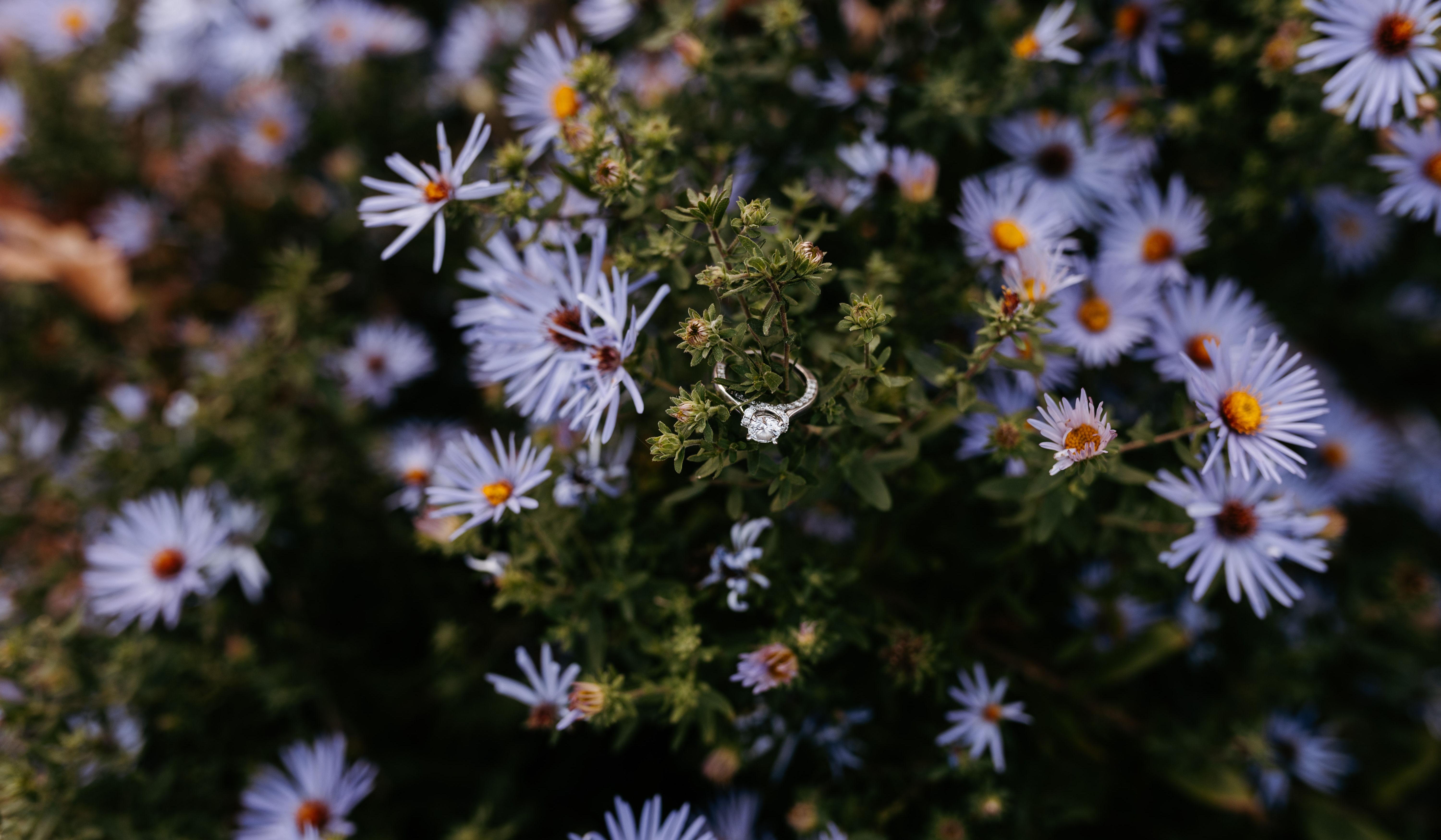 Footer image