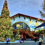 Busch Gardens Tampa Bay