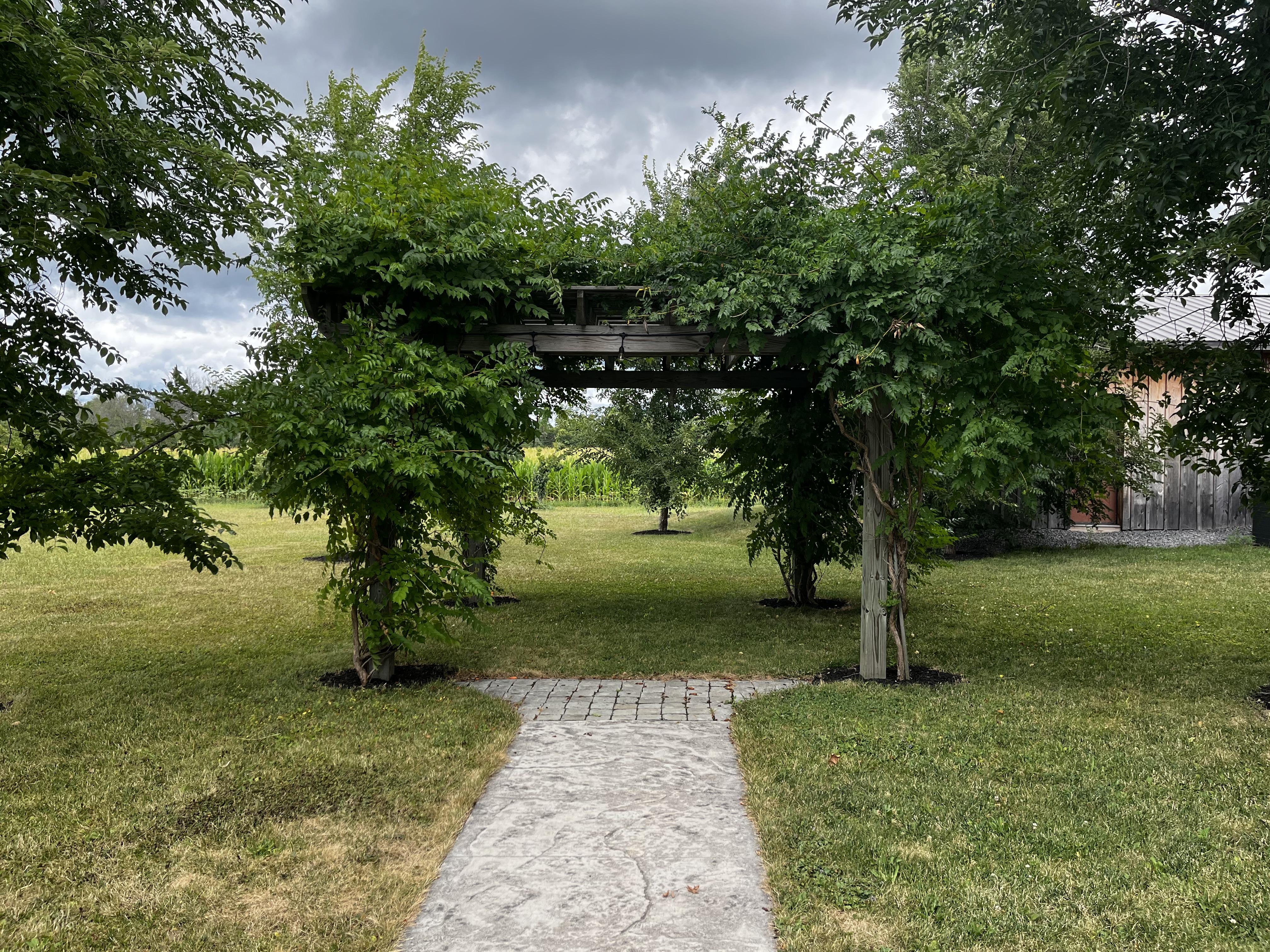 The Wedding Website of Chelsea Knuppenburg and Michael Jakaub