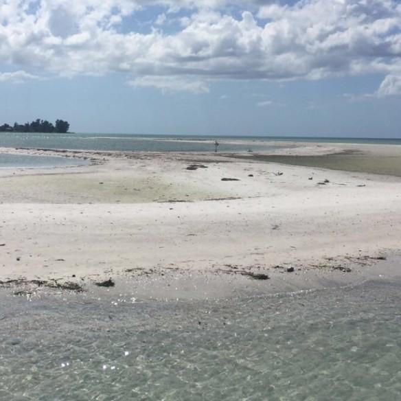 The sandbar ❤