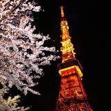 Tokyo Tower