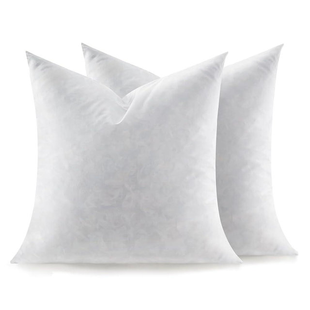 Swandream Feather Throw Pillow Inserts Set of 2, Soft Fluffy Square 18 x 18 Inches Decorative Pillow Insert, Feather and Down Filled Euro Pillows