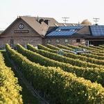 Newport Vineyards