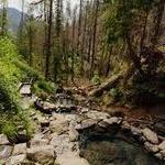 Terwilliger Hot Springs