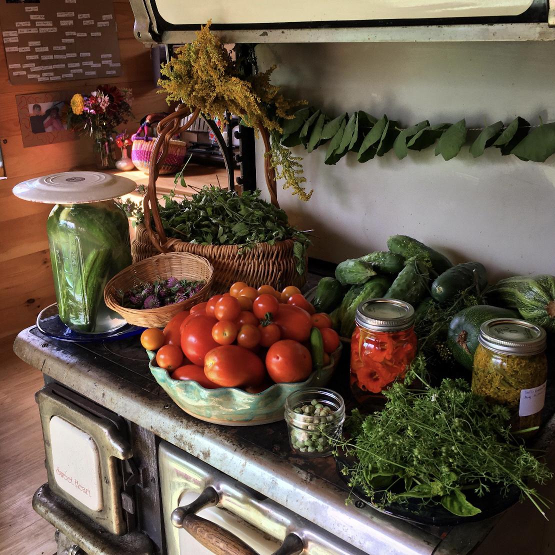 Our Farm and honeymoon Fund