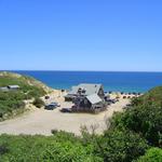 Beachcomber in Wellfleet