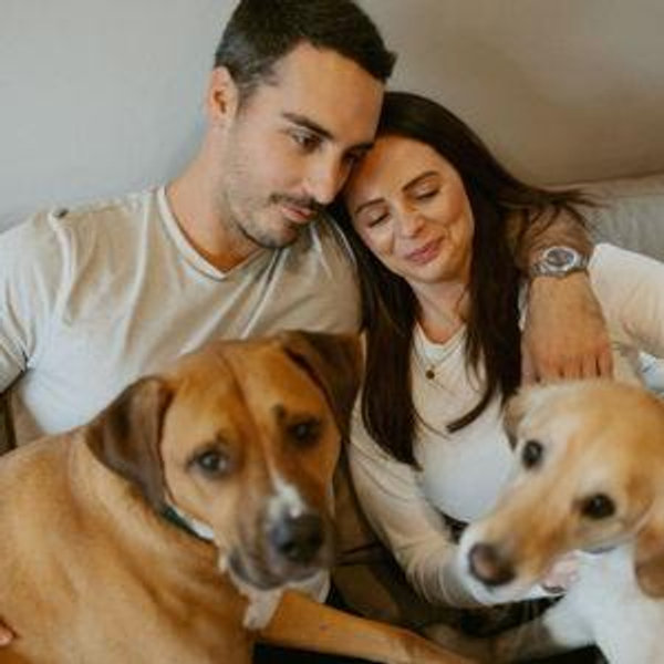 Pet Hotel For Our Honeymoon