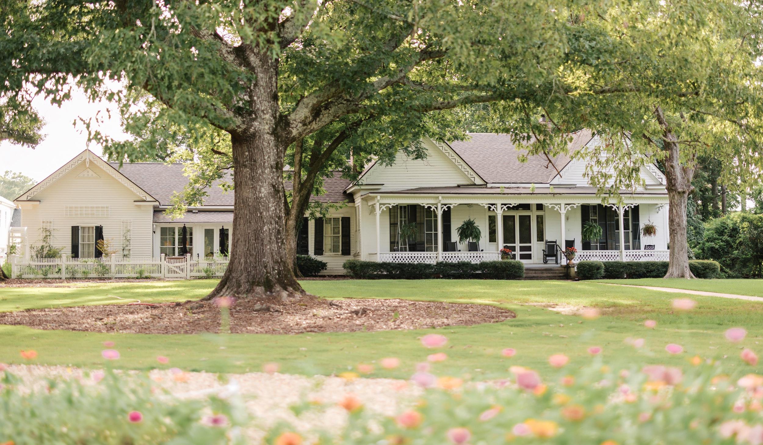 The Wedding Website of Lucy Hamil and Parker Madeo