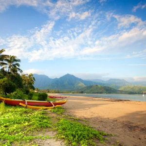 Our Kauai Honeymoon Fund