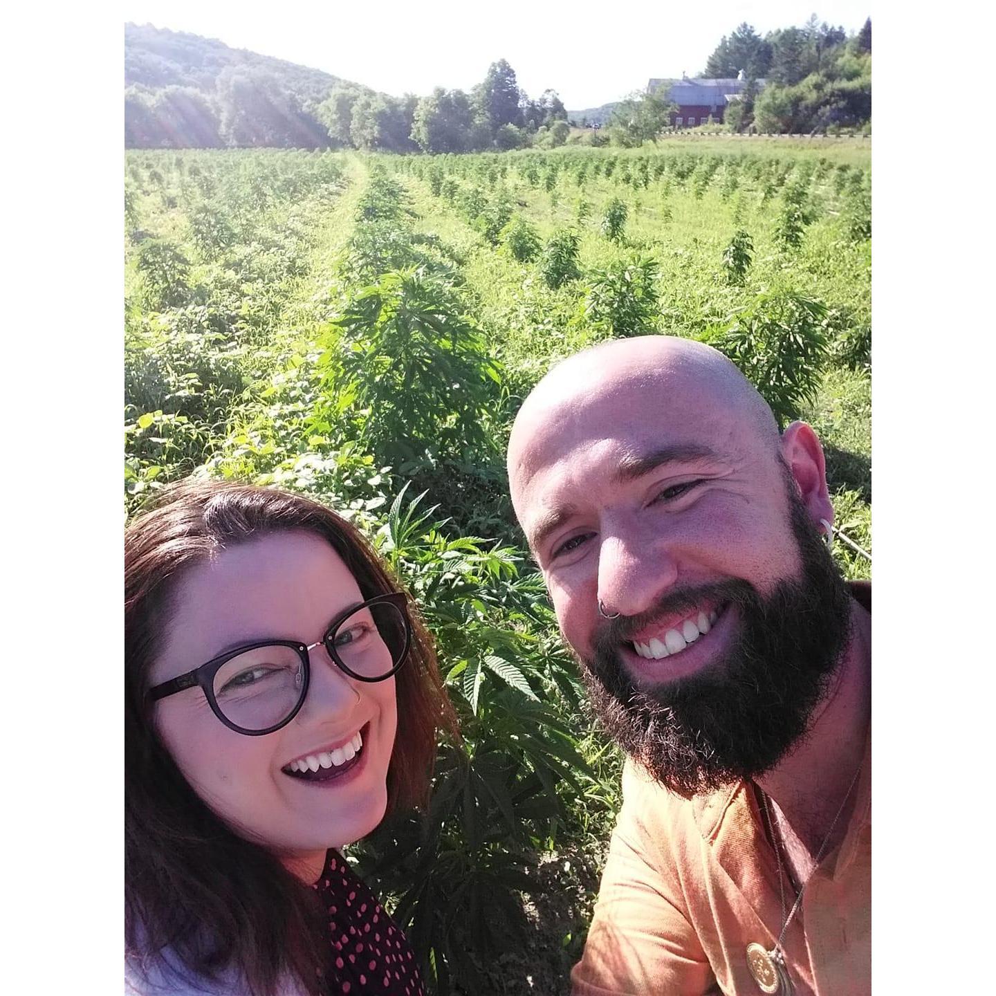 A very fragrant field we found.