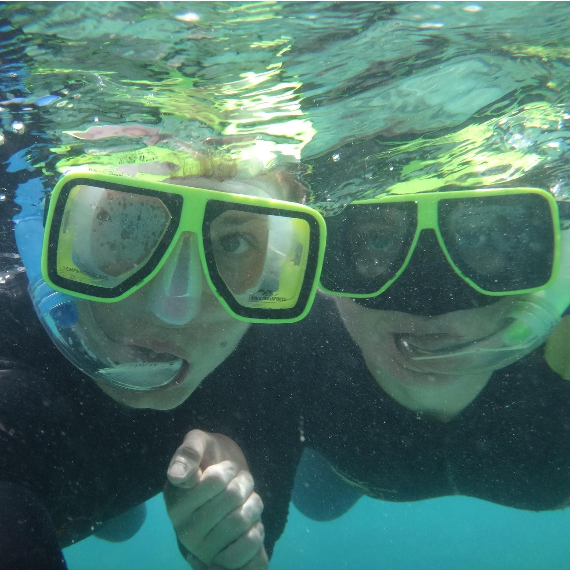 Snorkeling in the Whitsundays