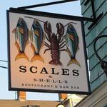 Scales & Shells