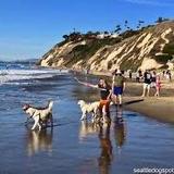 Arroyo Burro Beach County Park
