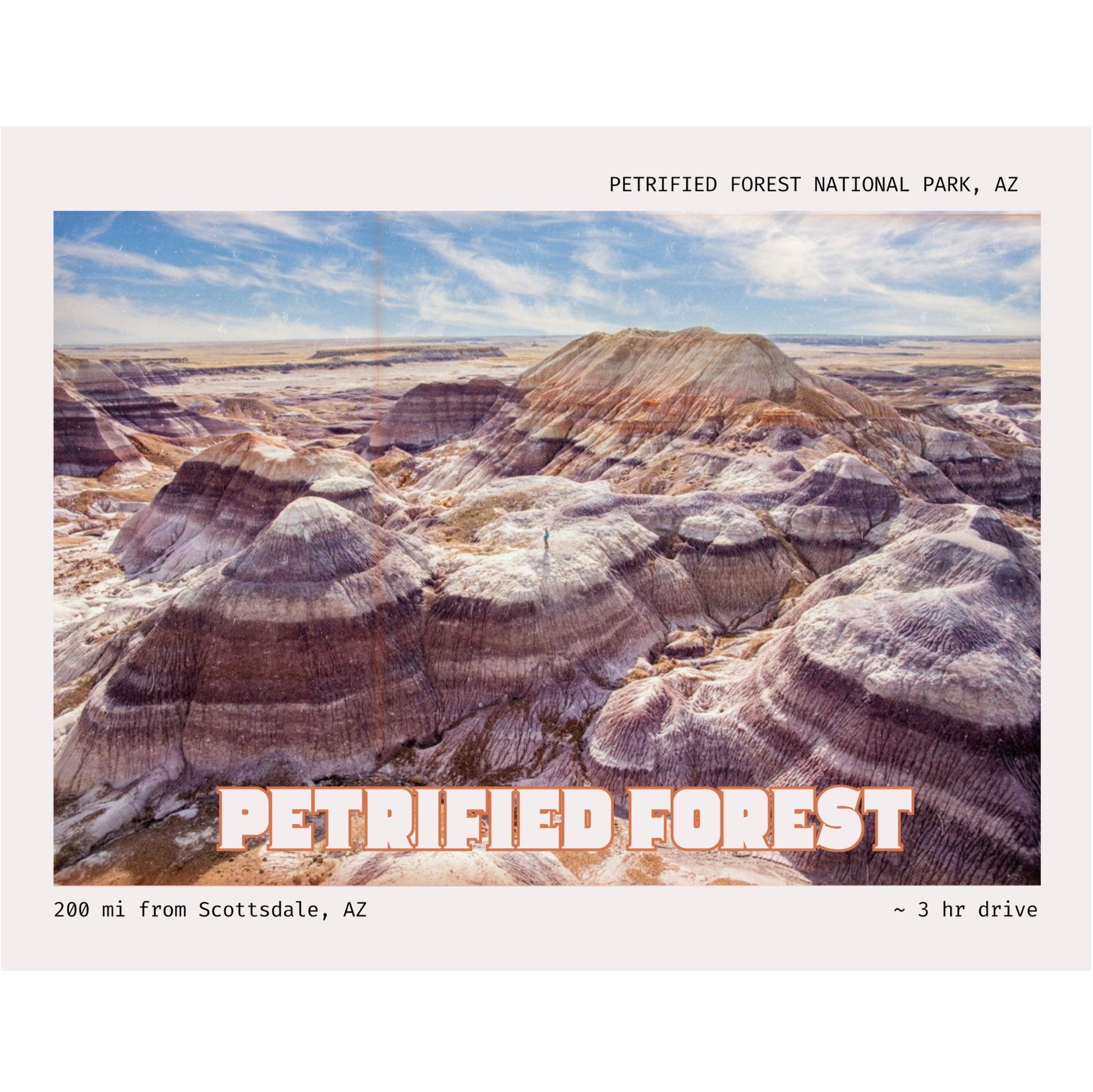 Home to 200-million-year-old fossilized trees that turned to stone over time. The park is also part of historic Route 66.