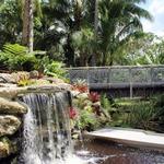 Mounts Botanical Garden