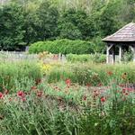 Bethabara Park Boulevard Northwest