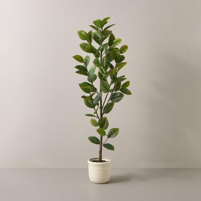 72" Faux Potted Rubber Tree - Hearth & Hand™ with Magnolia