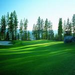 Activity: Coyote Moon Golf