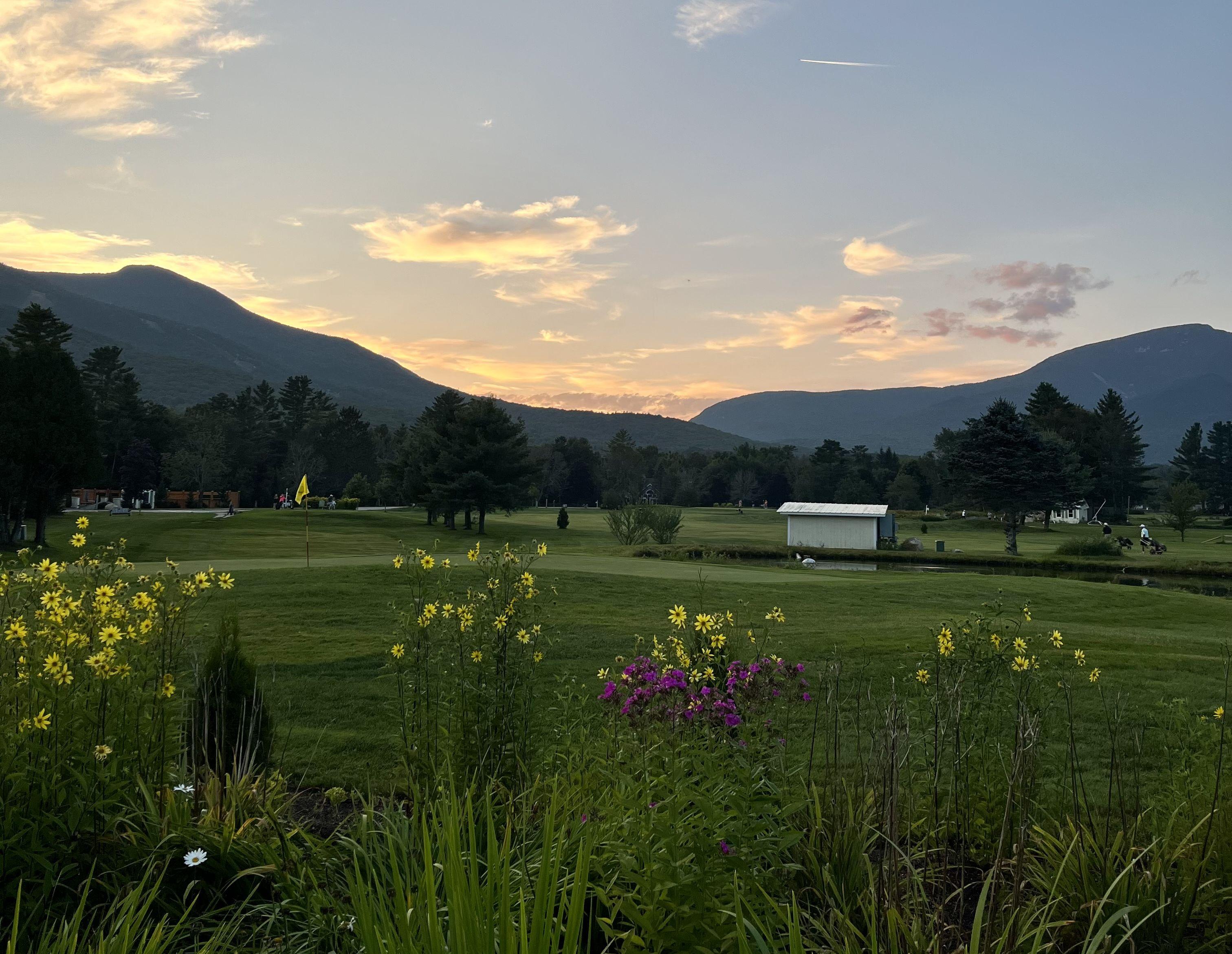 The Wedding Website of Jess Lloyd and Nolen Davis