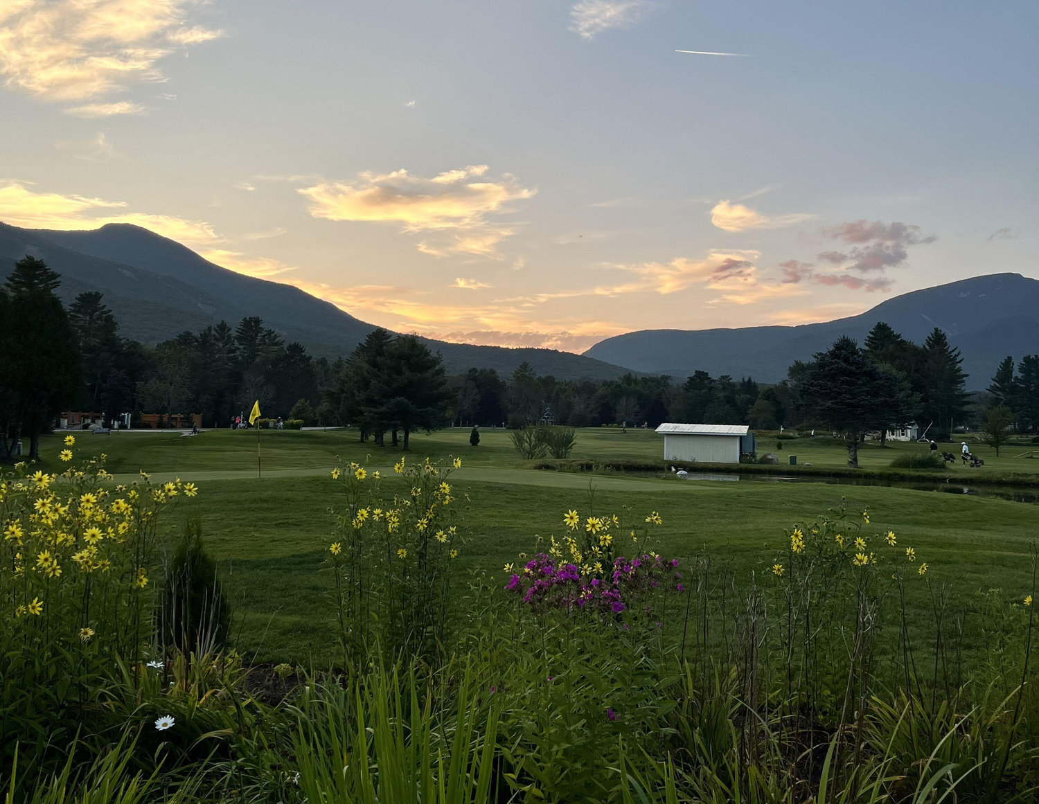 The Wedding Website of Jess Lloyd and Nolen Davis