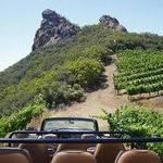 Malibu Wine Safaris