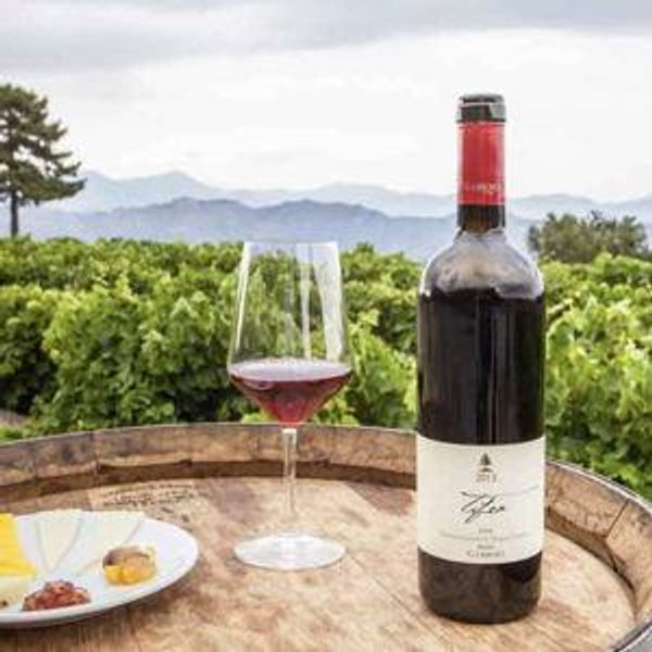 Sicilian Wine Fund