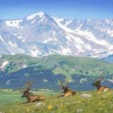 Rocky Mountain National Park