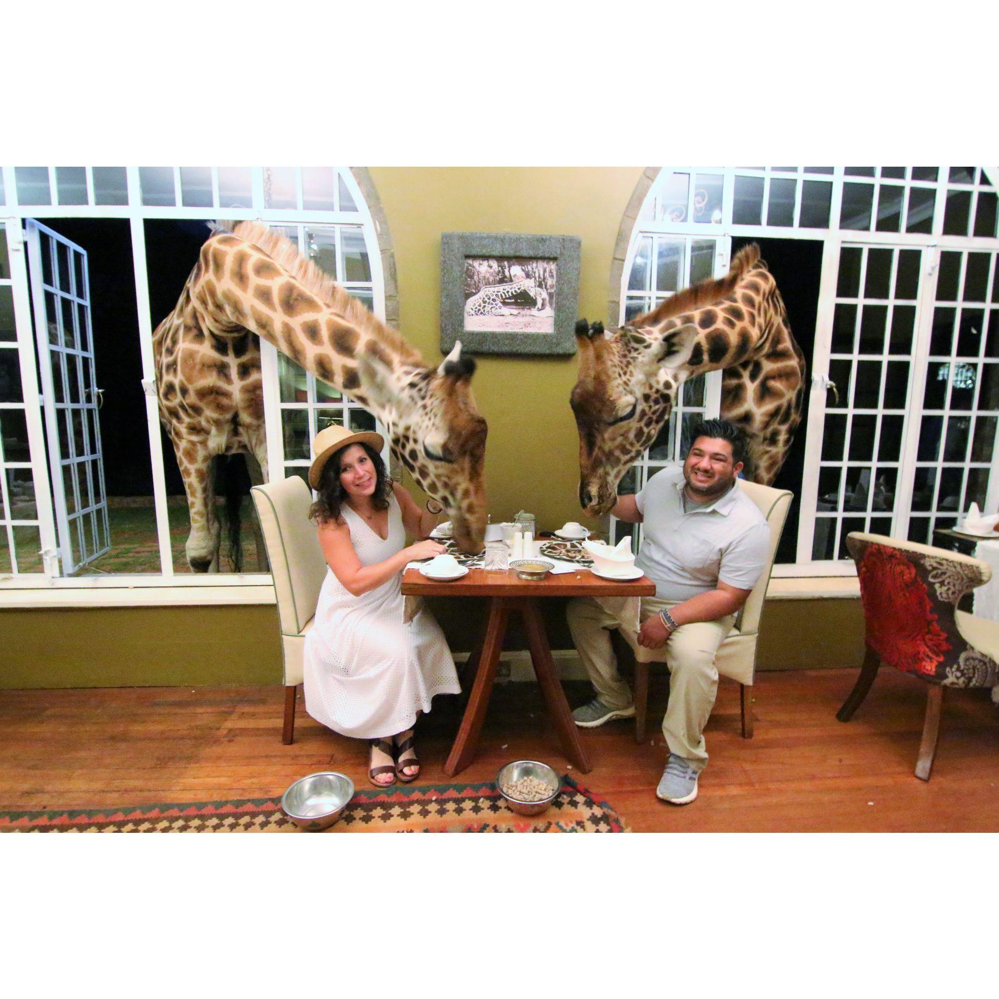 Giraffe Manor, Kenya