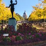 Luxembourg Gardens