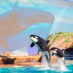 SeaWorld San Diego