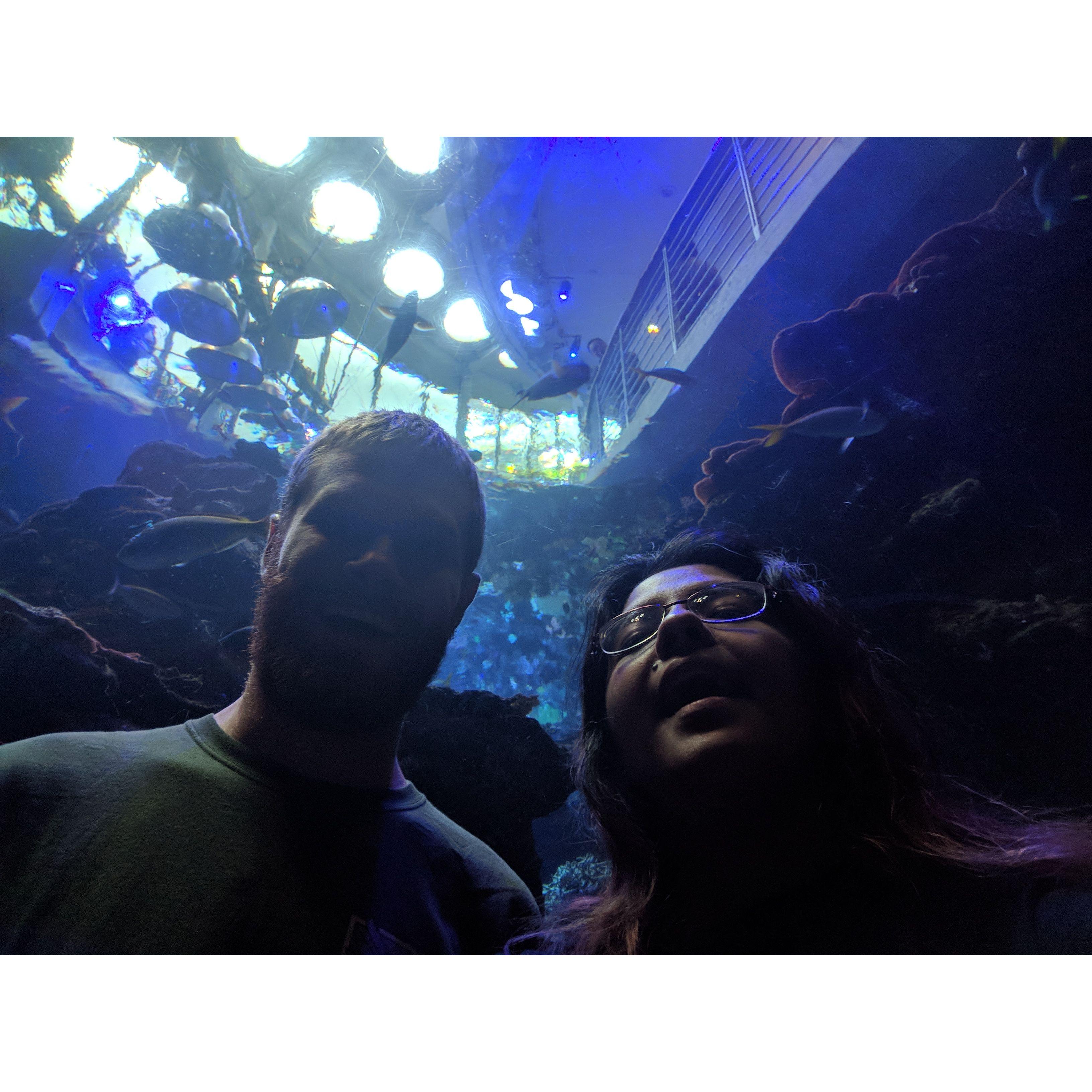 Sam & Rocio Enjoy an Aquarium