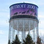 Detroit Zoo