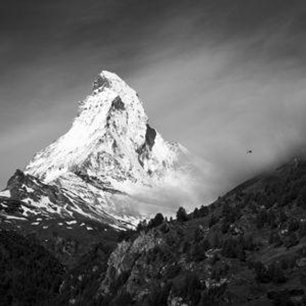 Photography Fund