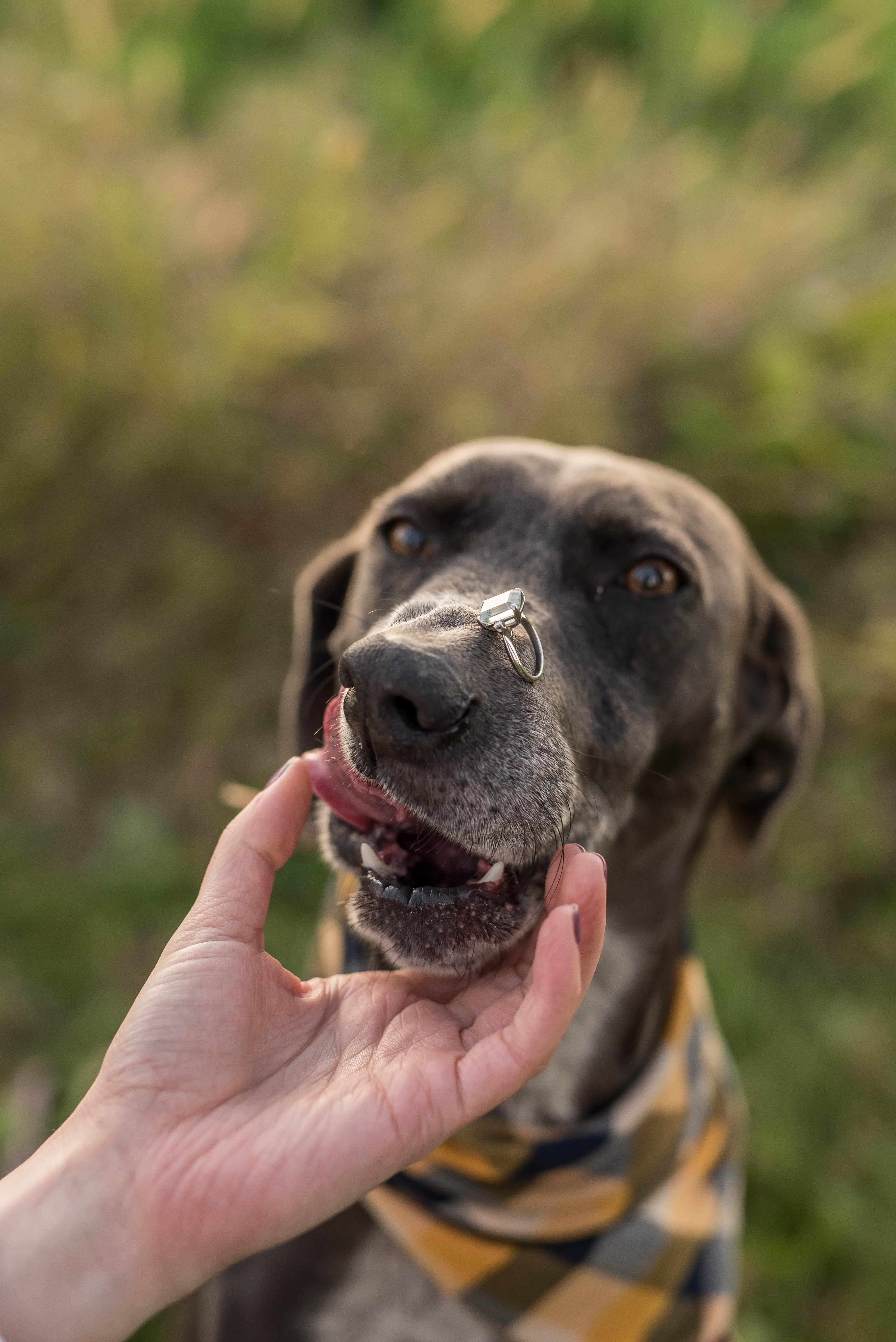 1bee36e1-7007-41e1-9664-6f65663eb2a3