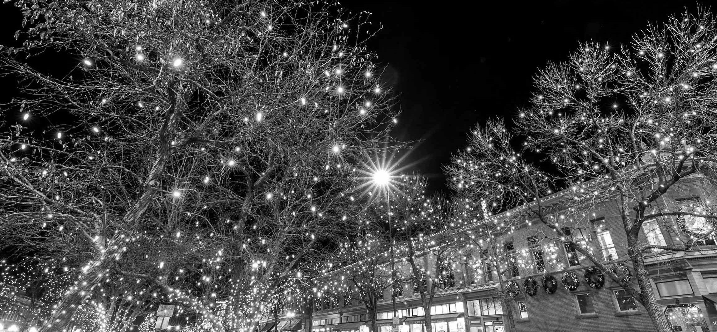 The Wedding Website of Krista Muterspaugh and Andrew Muterspaugh