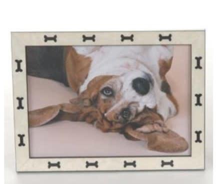 Black Dog Bone 4x4 Frame