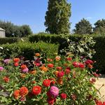 Cornerstone Art Gardens