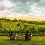 Crane Creek Vineyards